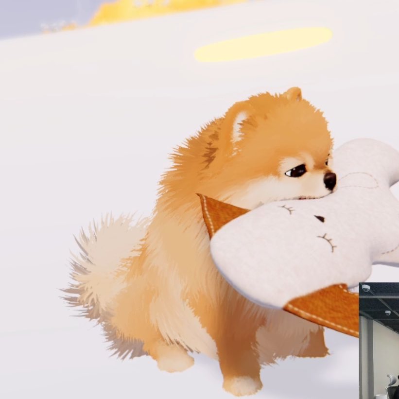 폴라포 tweet media