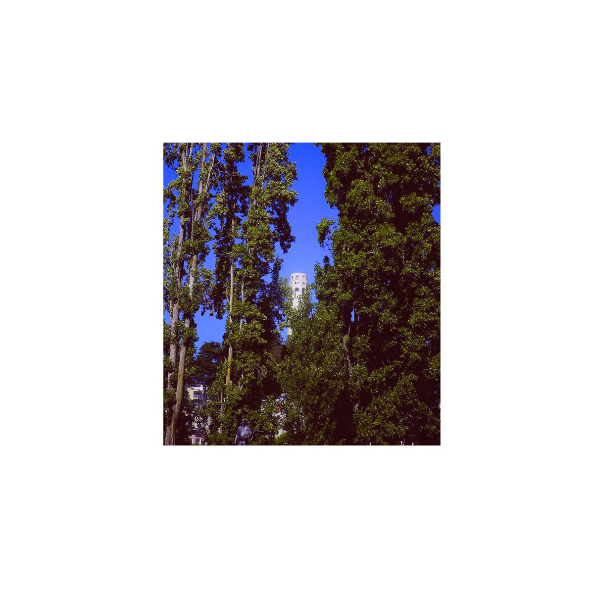 STATE OF THE ART tweet media