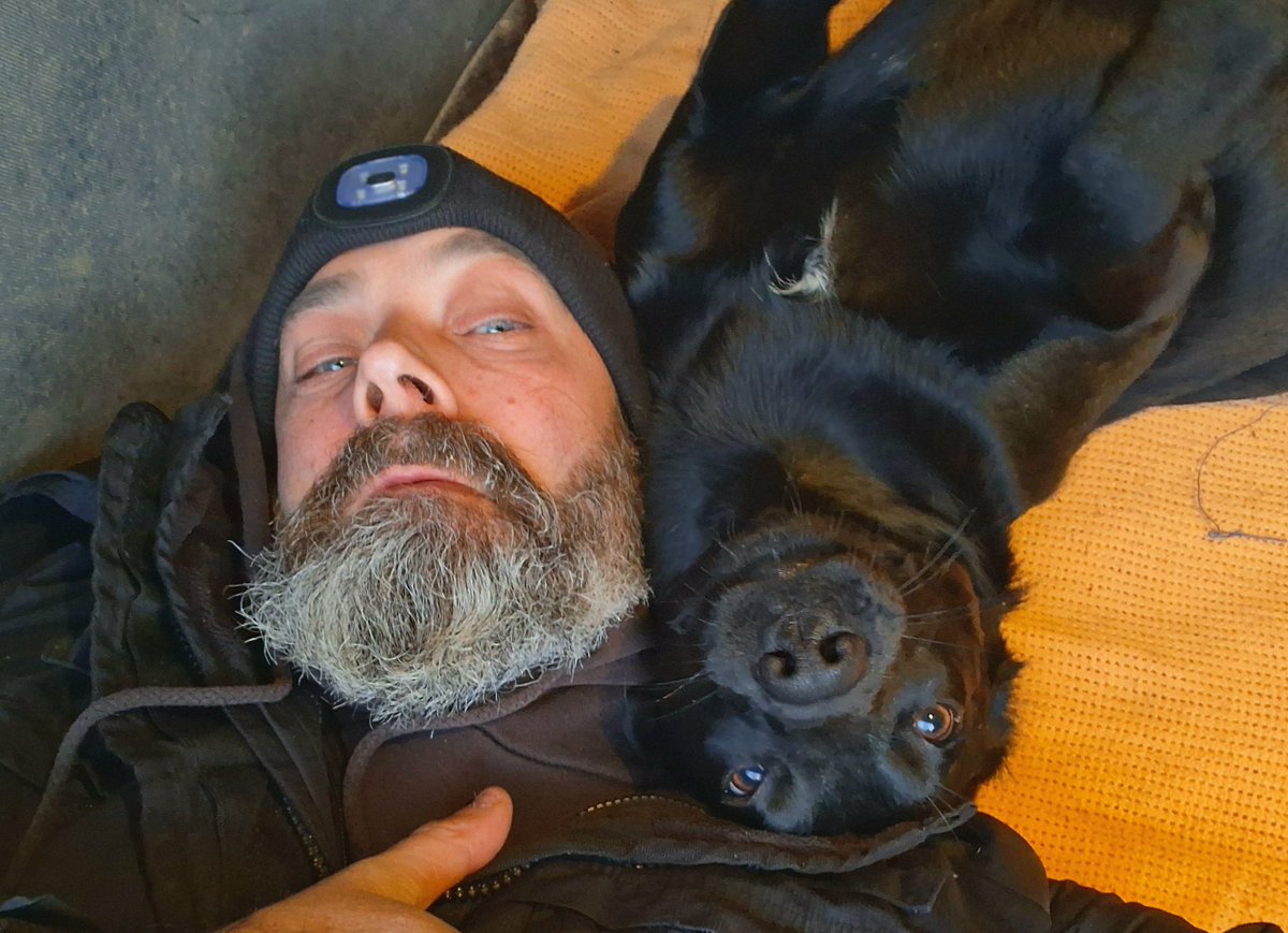 Isle Of Man Prison Dog Section tweet media