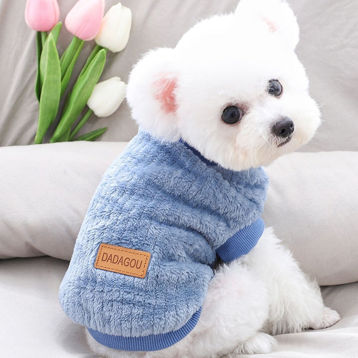 Mynobledog1's tweet photo. 🐾 Discover the joy of companionship with your noble furry friend at https://t.co/Fr7TsWphzY! 🐶✨ Whether you’re looking for tips, training, or tales of wagging tails, we’ve got you covered.  ❤️ #MyNobleDog #DogLovers #FurryFriends https://t.co/wkkBoXkDRX