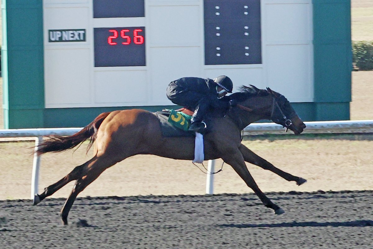 OBSSales tweet media