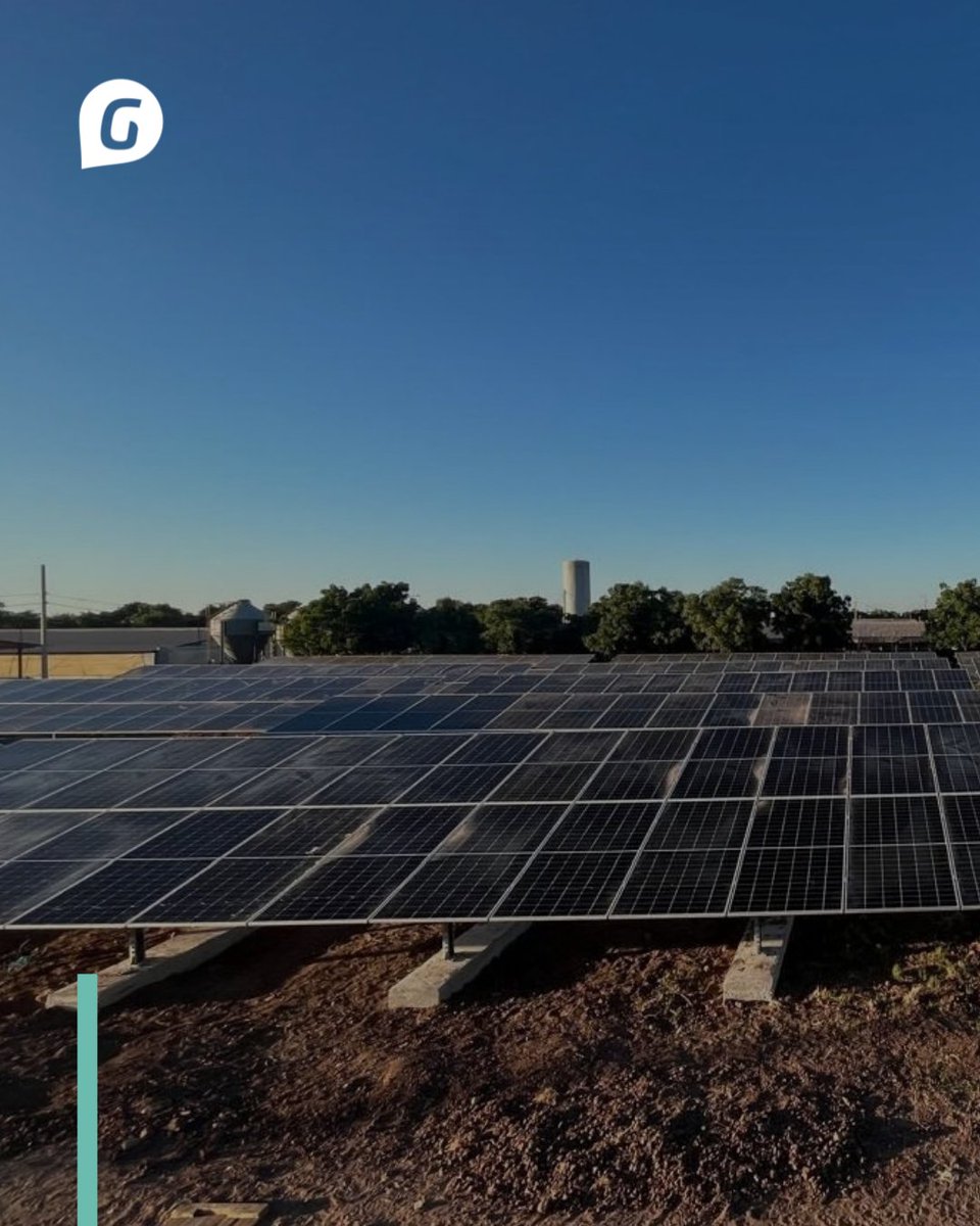 Greening México tweet media