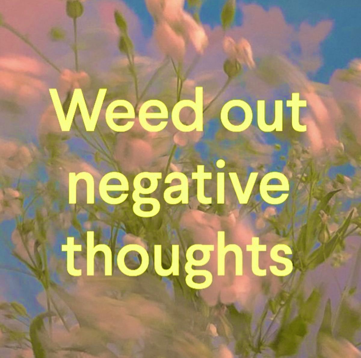 M⁴a²nn⁰y tweet media