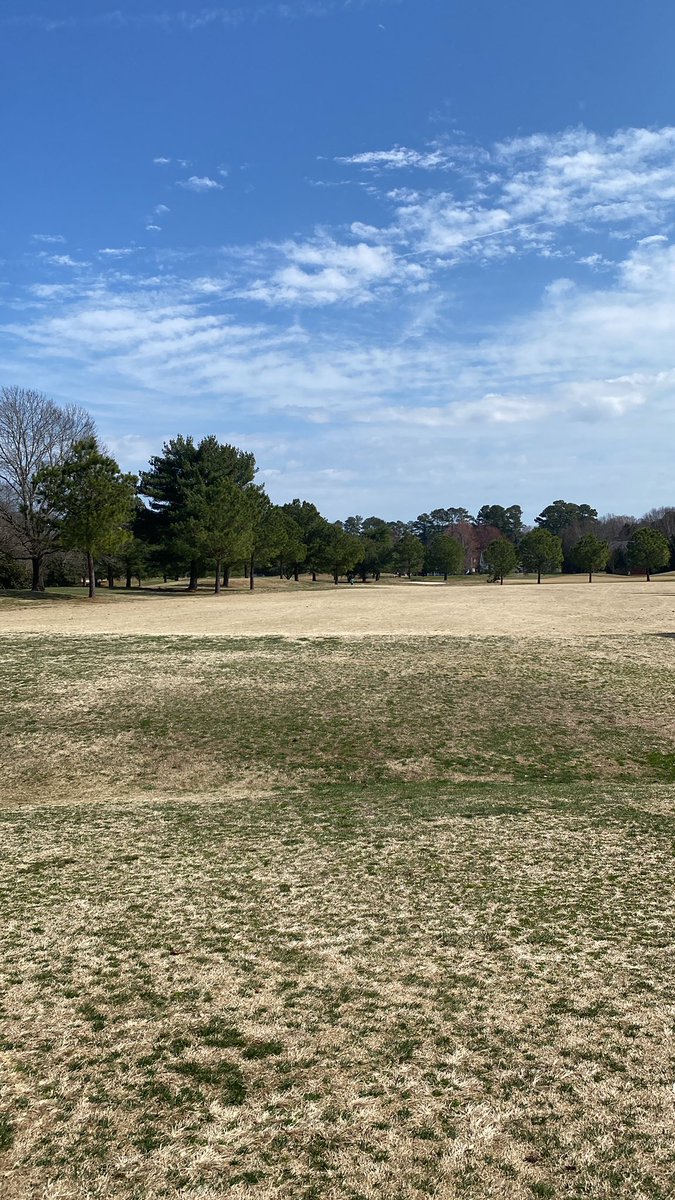 CrypticVis1ons tweet media