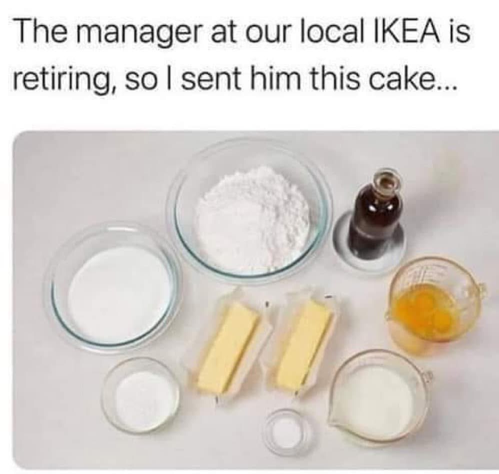 The Feral Cat Gang tweet media