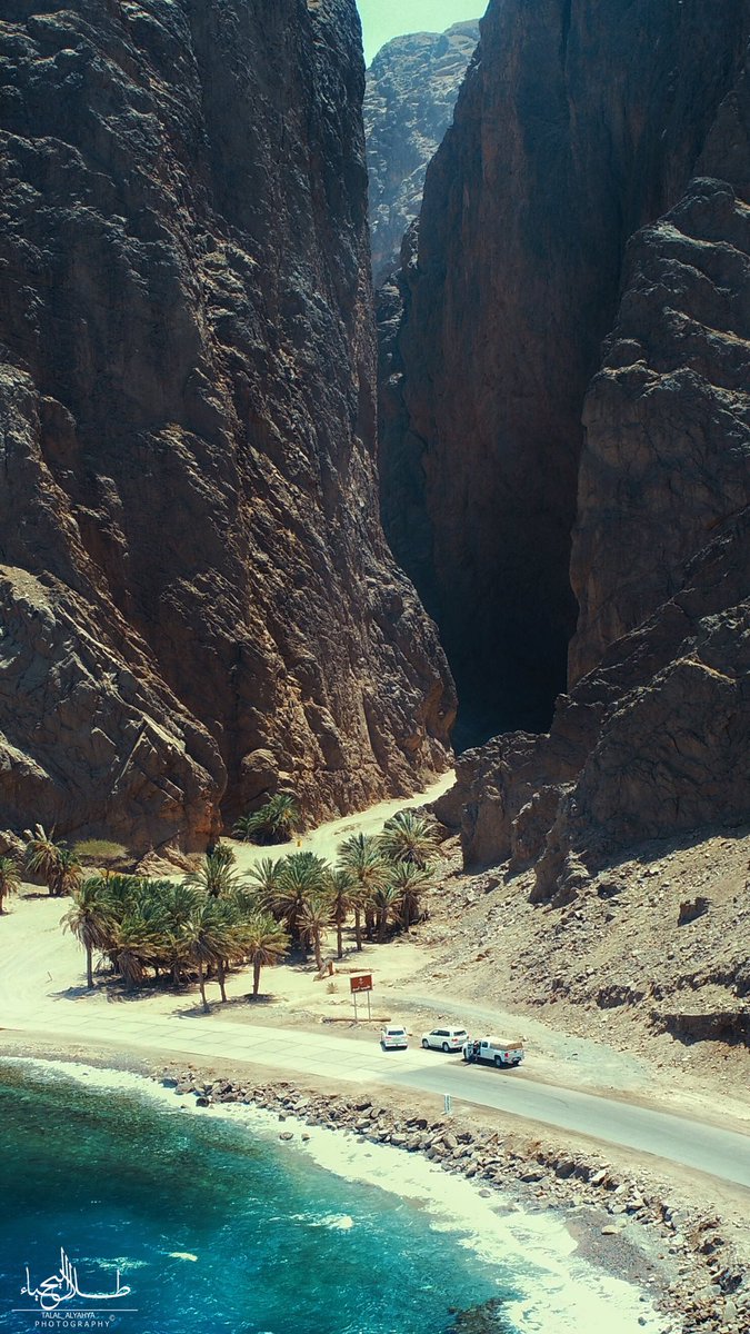 سليل الأزد | ماجد الزهراني 🇸🇦 tweet media