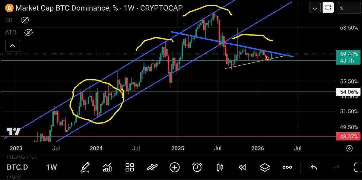 T. Cryptus tweet media