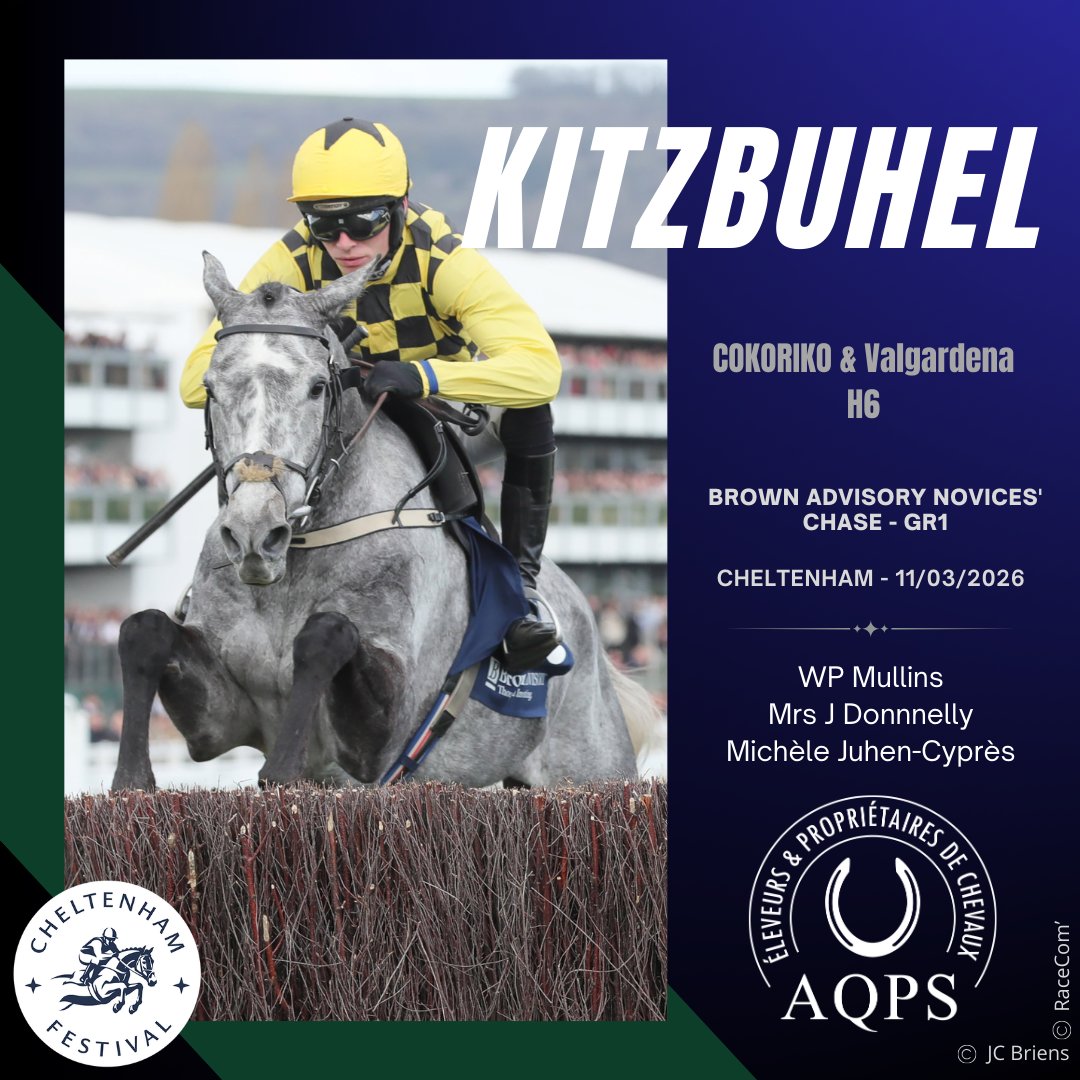 AQPS thefrenchchaser tweet media