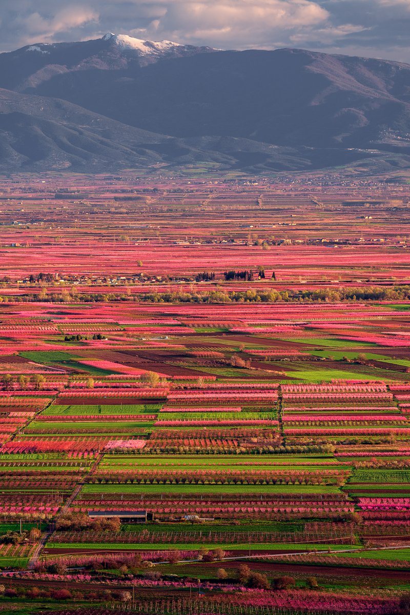 Visit Greece tweet media