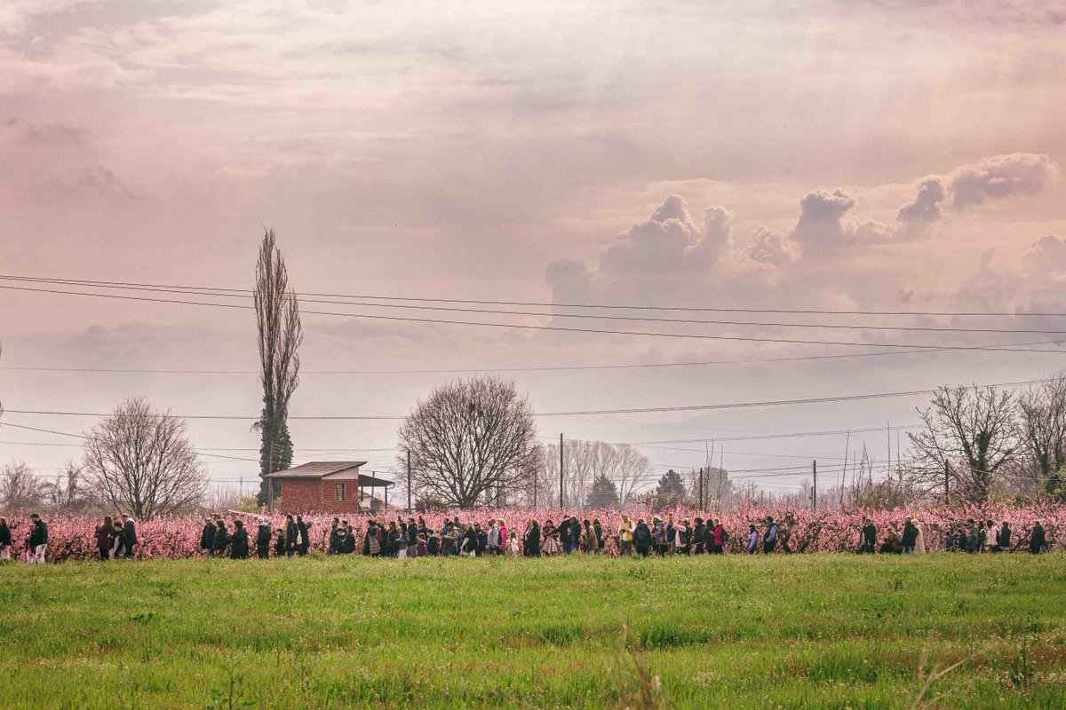 Visit Greece tweet media