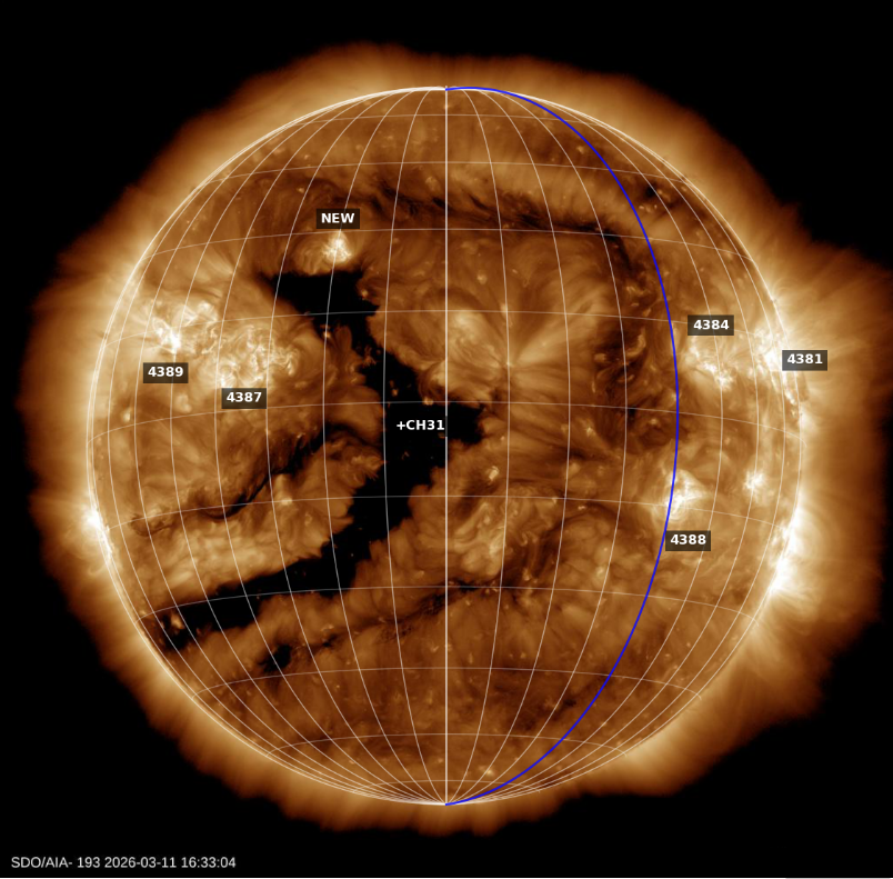 ☀️ Sara Housseal ☀️ tweet media