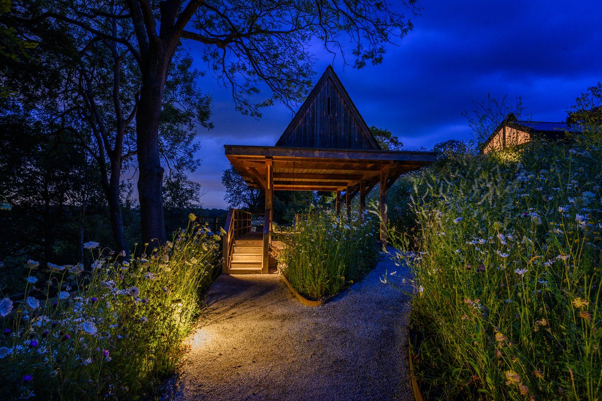 Moonlight Design tweet media