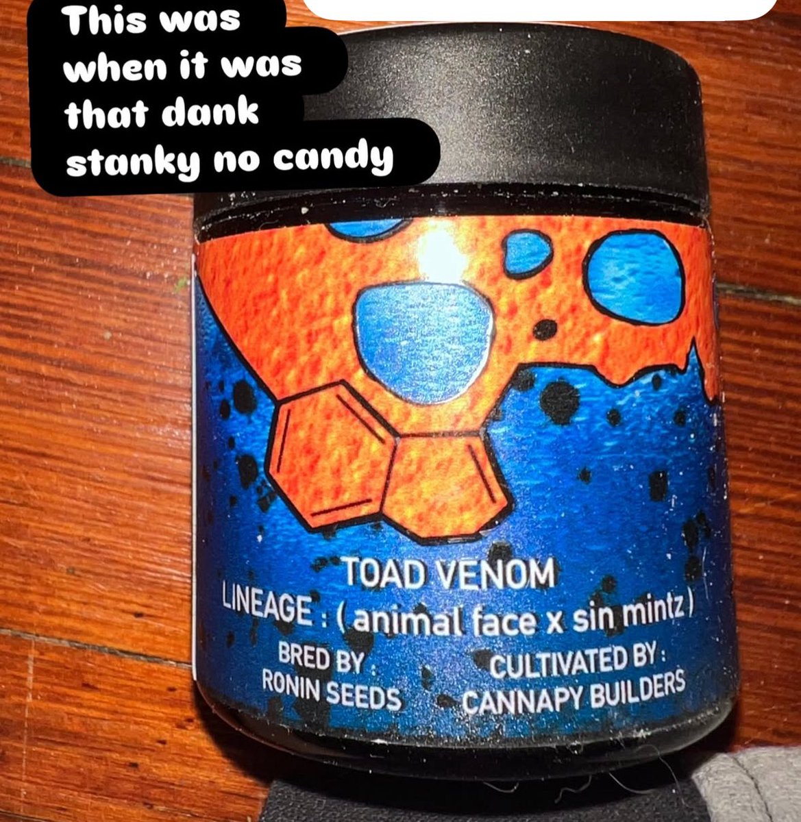 Maple Reserve / Exotic Prince of NY tweet media