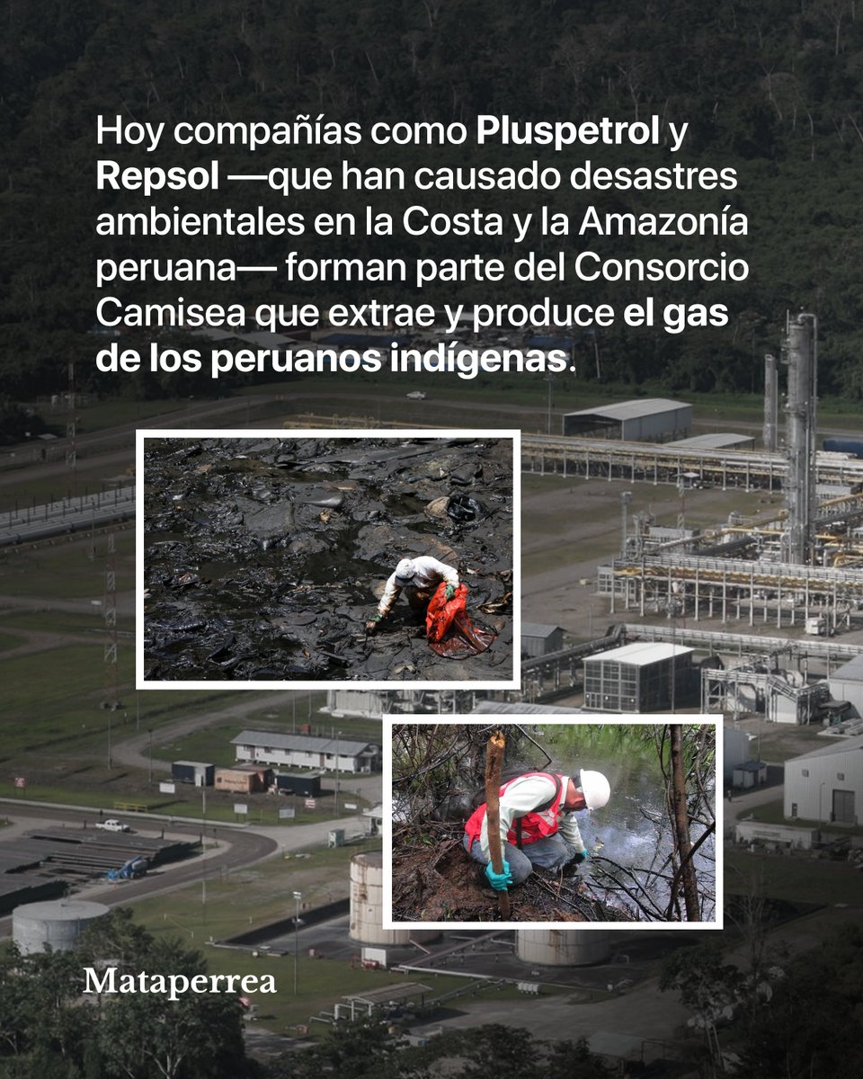 Mataperrea tweet media