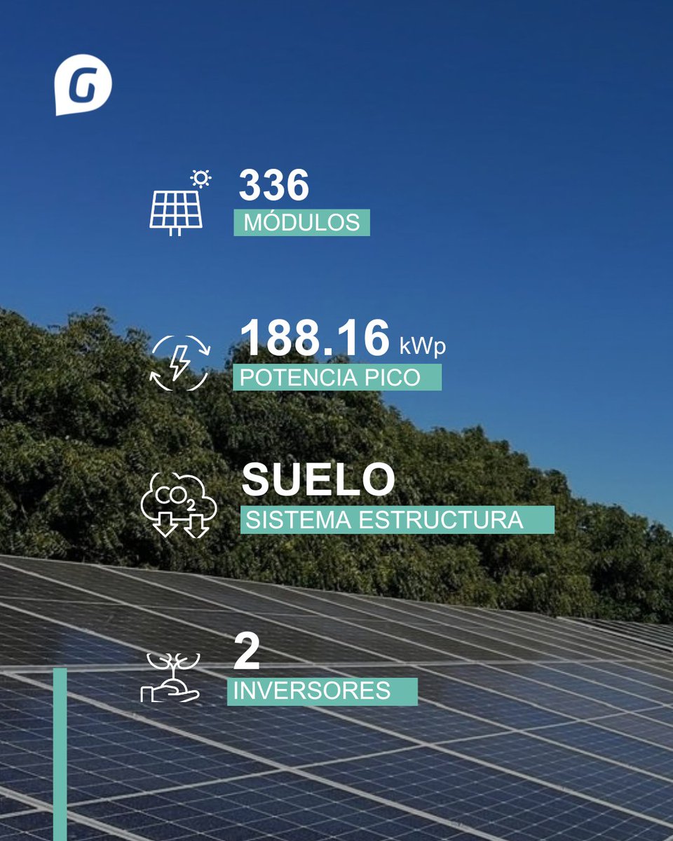 Greening México tweet media