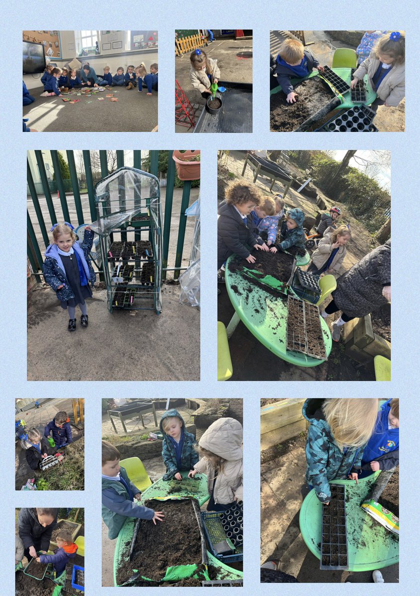 Markham Nursery tweet media