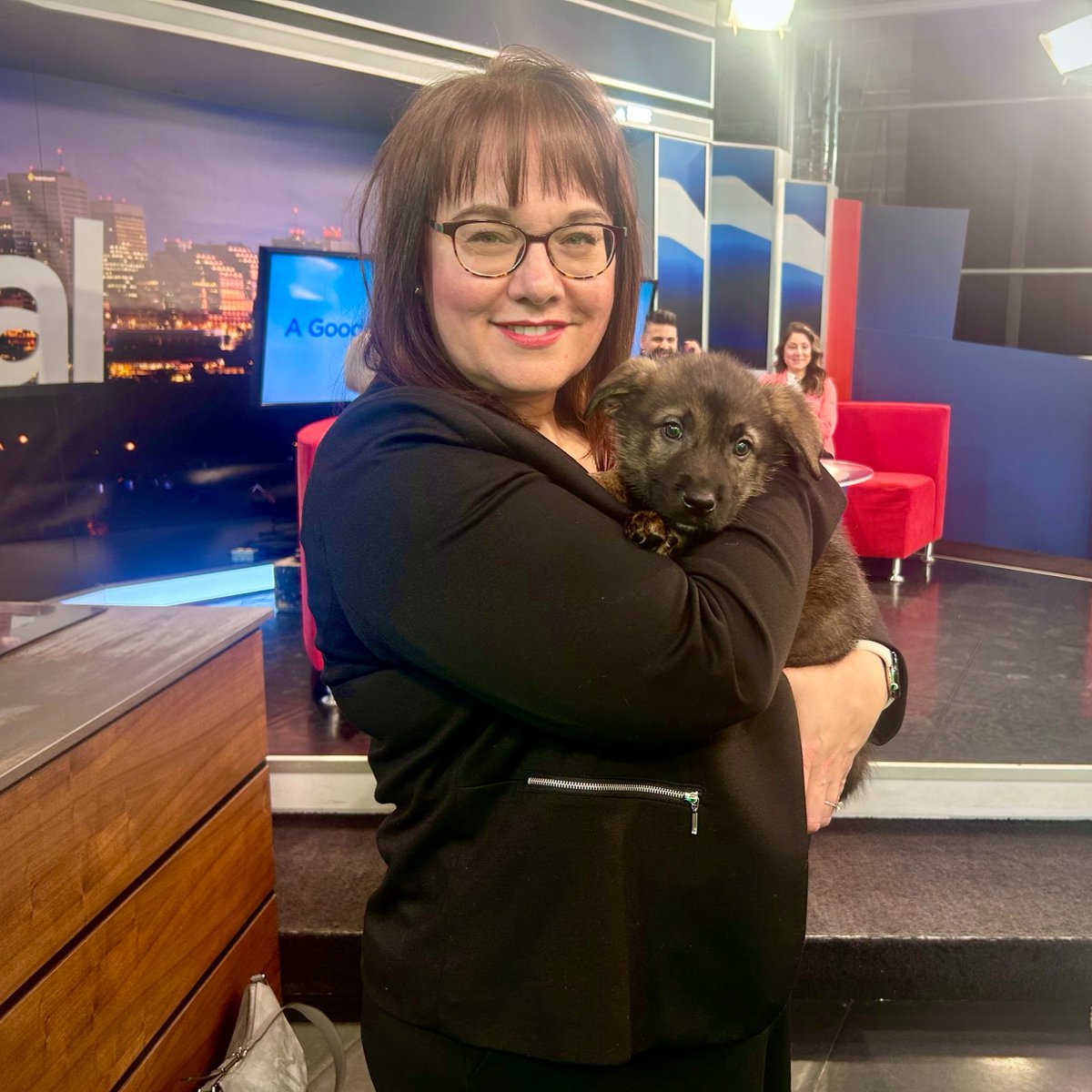 Edmonton Humane Society tweet media