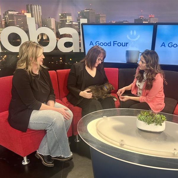 Edmonton Humane Society tweet media