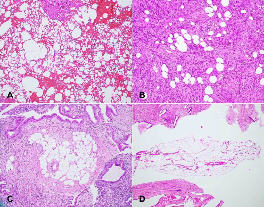 Arch Pathol Lab Med tweet media