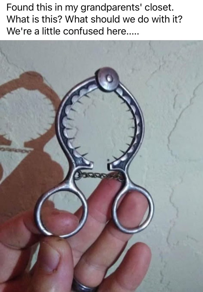 Declaration of Memes tweet media