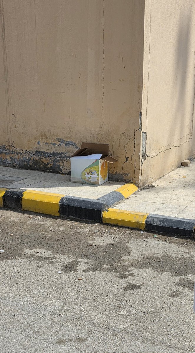 علي المحمد صالح tweet media