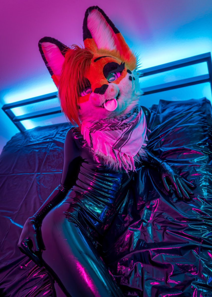 Kay :3 🔜 AC tweet media