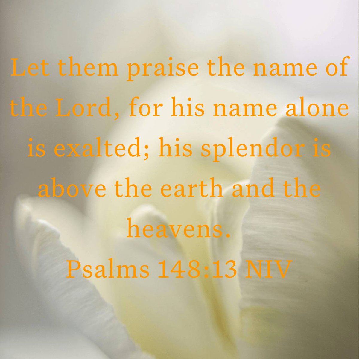 vevese's tweet photo. Psalms 148:13 NIV
[13] Let them praise the name of the Lord, for his name alone is exalted; his splendor is above the earth and the heavens.

https://t.co/yaN7xahkrS https://t.co/a6YfrKdCa6