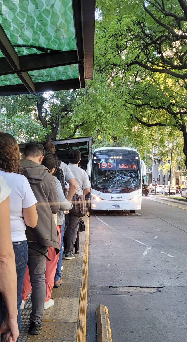 Acá en la fila, los que cada día nos deslomamos por dos mangos para engordar el botín del poder que saquea blandiendo motosierra.