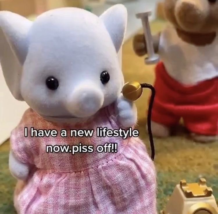 Kelley Schramm tweet media