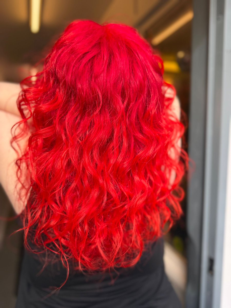 𝙿𝚛𝚘𝚏. 𝚂𝚊𝚛𝚊𝚑 𝙼𝚘𝚛𝚛𝚒𝚜 🔍🐧 tweet media