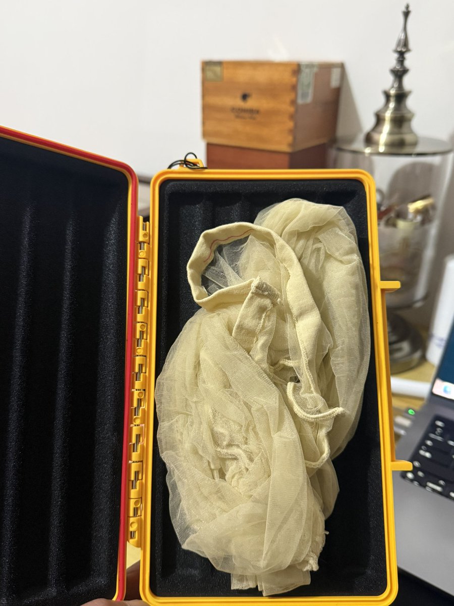 不用看我很大 tweet media