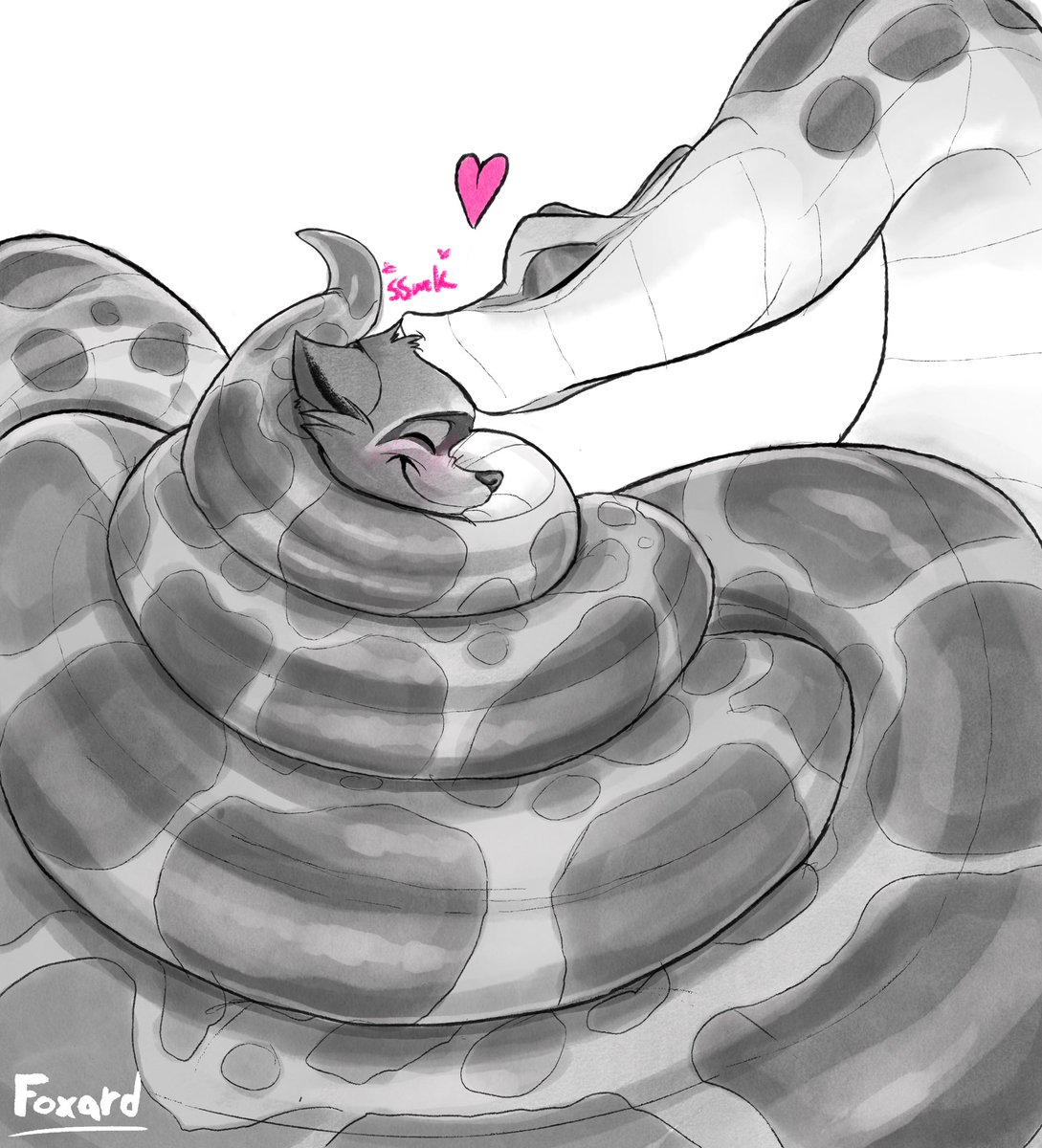 🐍🦊Foxard🦊🐍 🔜 TFF tweet media