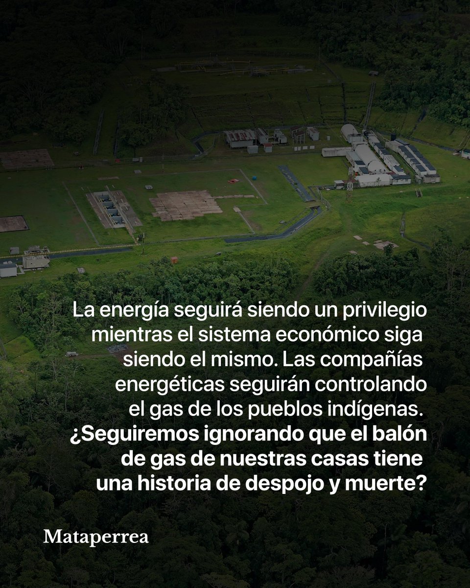 Mataperrea tweet media