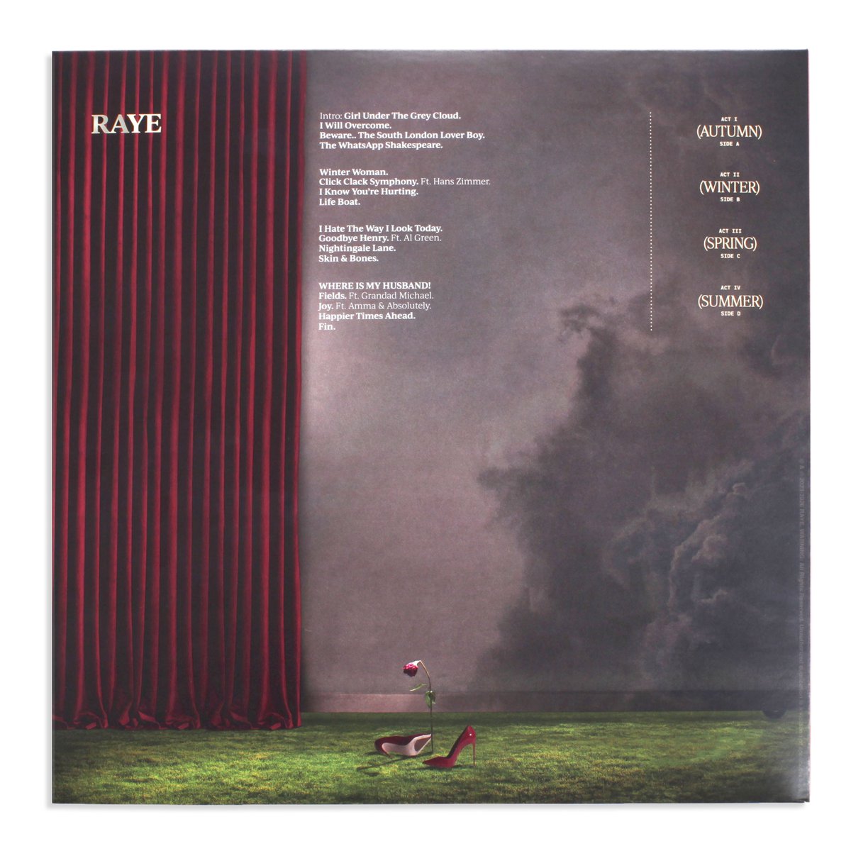 RAYE LIFE tweet media