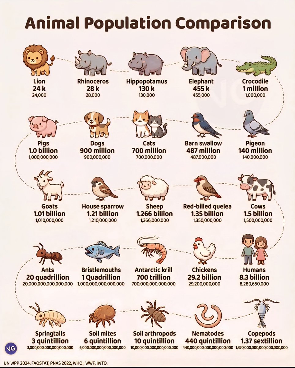 Globalstats11's tweet photo. Estimated Animal Populations Worldwide 👨‍👩‍👧‍👦

1. 🦁 Lion - 24k
2. 🦏 Rhinoceros - 28k
3. 🦛 Hippopotamus - 130k
4. 🐘 Elephant - 455k
5. 🐊 Crocodile - 1 Million
6. 🐦 Pigeon - 140 Million
7. 🐦 Barn swallow - 487 Million
8. 🐱 Cats - 700 Million
9. 🐶 Dogs - 900 Million
10. 🐷 Pigs - 1 Billion
11. 🐐 Goats - 1.01 Billion
12. 🐦 House sparrow - 1.21 Billion
13. 🐑 Sheep - 1.266 Billion
14. 🐦 Red-billed quelea - 1.35 Billion
15. 🐮 Cows - 1.5 Billion
16. 🧑‍🤝‍🧑 Humans - 8.3 Billion
17. 🐔 Chickens - 29.2 Billion
18. 🦐 Antarctic krill - 700 Trillion
19. 🐟 Bristlemouths - 1 Quadrillion
20. 🐜 Ants - 20 Quadrillion
21. 🦗 Springtails - 3 Quintillion
22. 🕷️ Soil mites - 6 Quintillion
23. 🪳 Soil arthropods - 10 Quintillion
24. 🪱 Nematodes - 440 Quintillion
25. 🦐 Copepods - 1.37 Sextillion

Note: All figures are rough estimates compiled from different years, including 2024, 2022, and earlier.

​k (1,000)
Million (1,000,000)
Billion (1,000,000,000)
Trillion (1,000,000,000,000)
Quadrillion (1,000,000,000,000,000)
Quintillion (1,000,000,000,000,000,000)
Sextillion (1,000,000,000,000,000,000,000)

Source: JN WPP 2024, FAOSTAT, PNAS 2022, WHOI, WWF, IWTO via VG