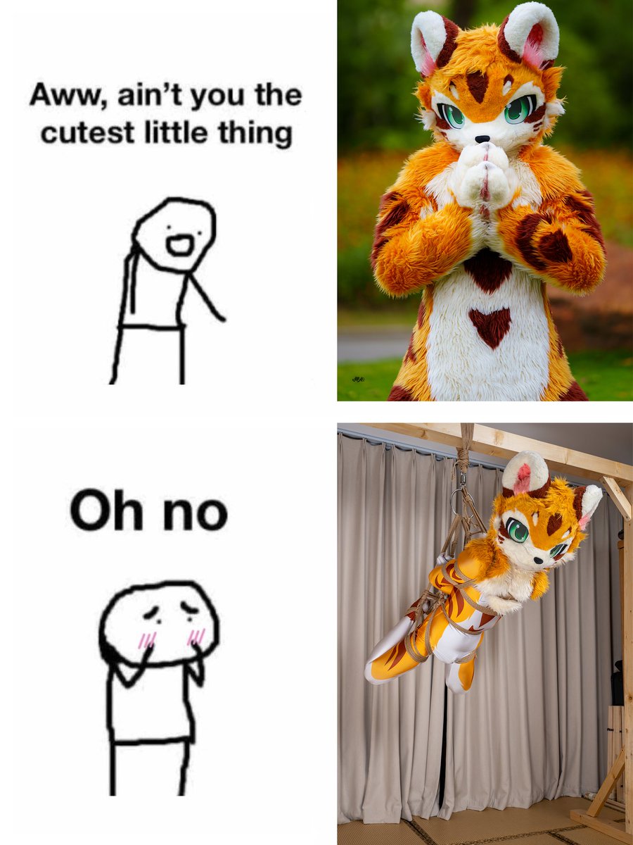 风帆翌晴 tweet media