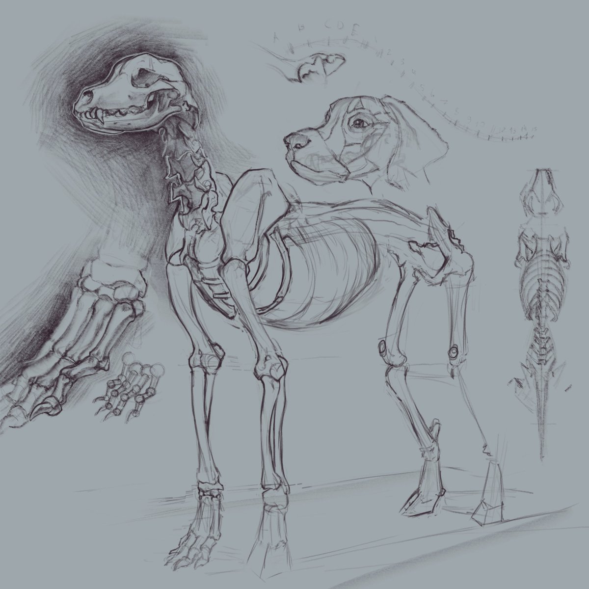 Fohl 🇰🇿 (COMM OPEN) tweet media