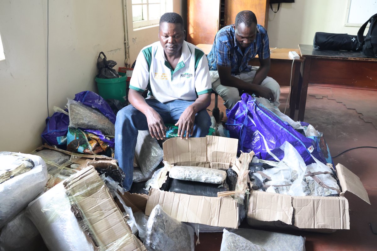 Zimbabwe Republic Police tweet media