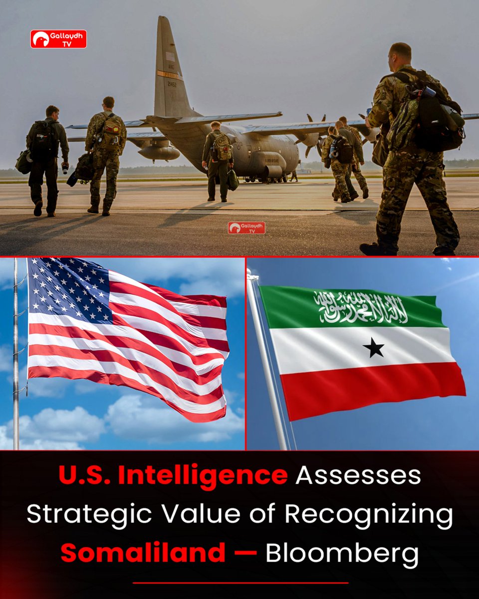 Hassan Gallaydh tweet media