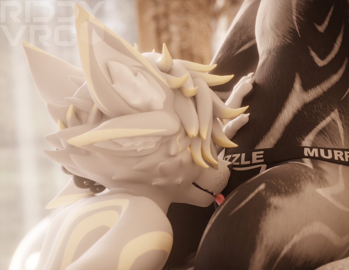 Riddy 🔞 tweet media