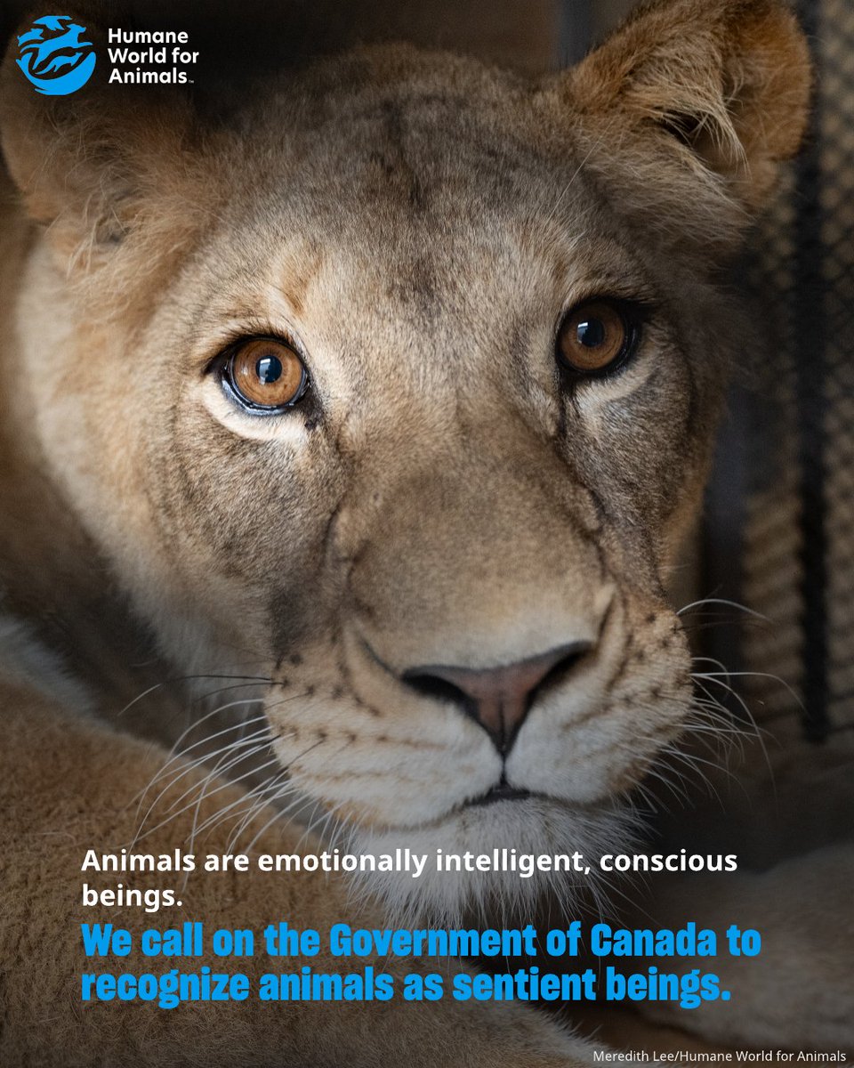 Humane World for Animals Canada tweet media
