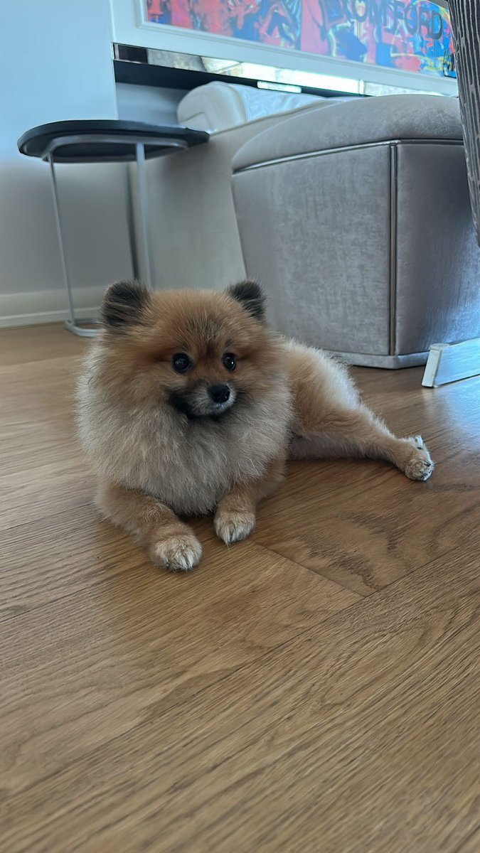 Masum Gözler tweet media