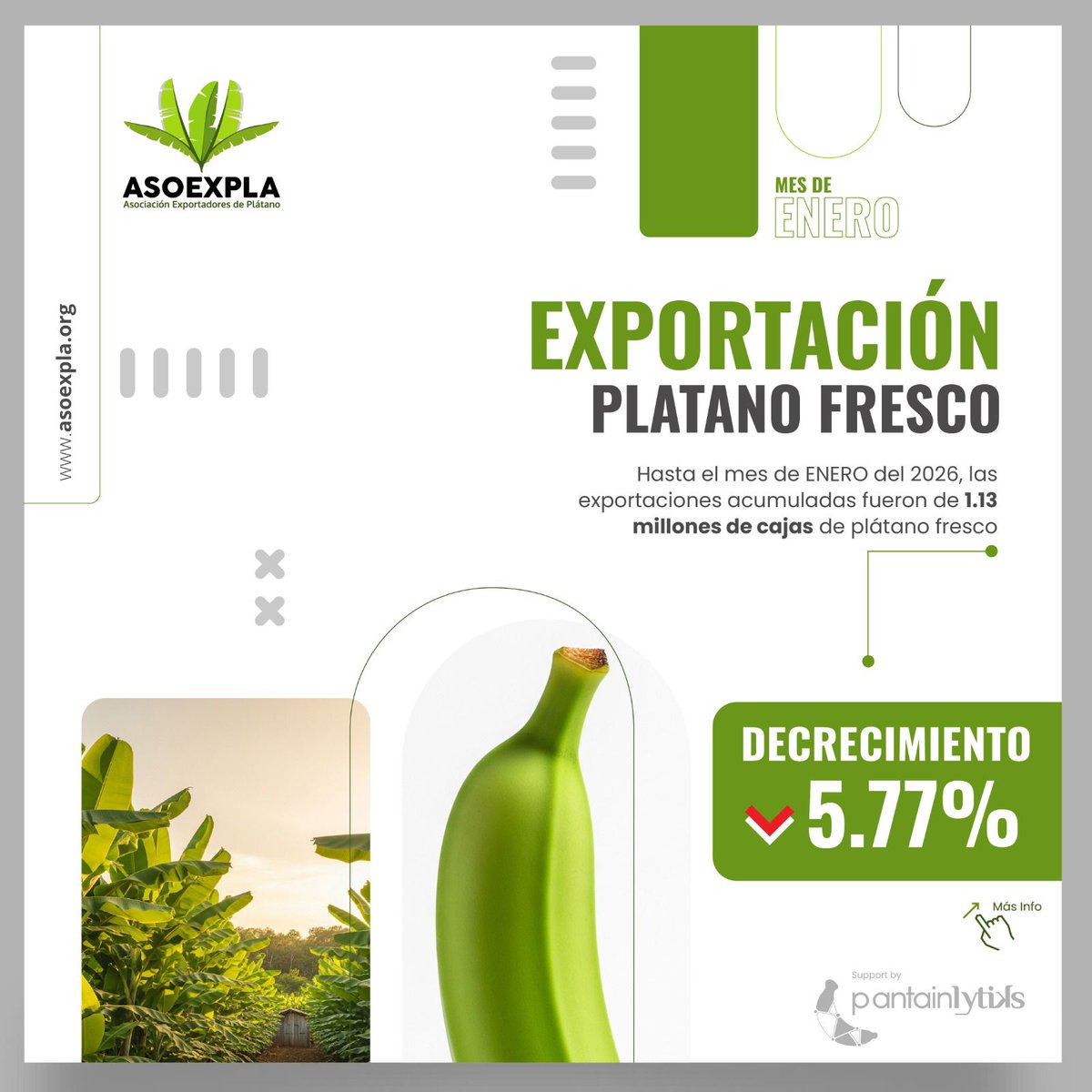 ASOEXPLA - Asociación Exportadores de Plátano tweet media