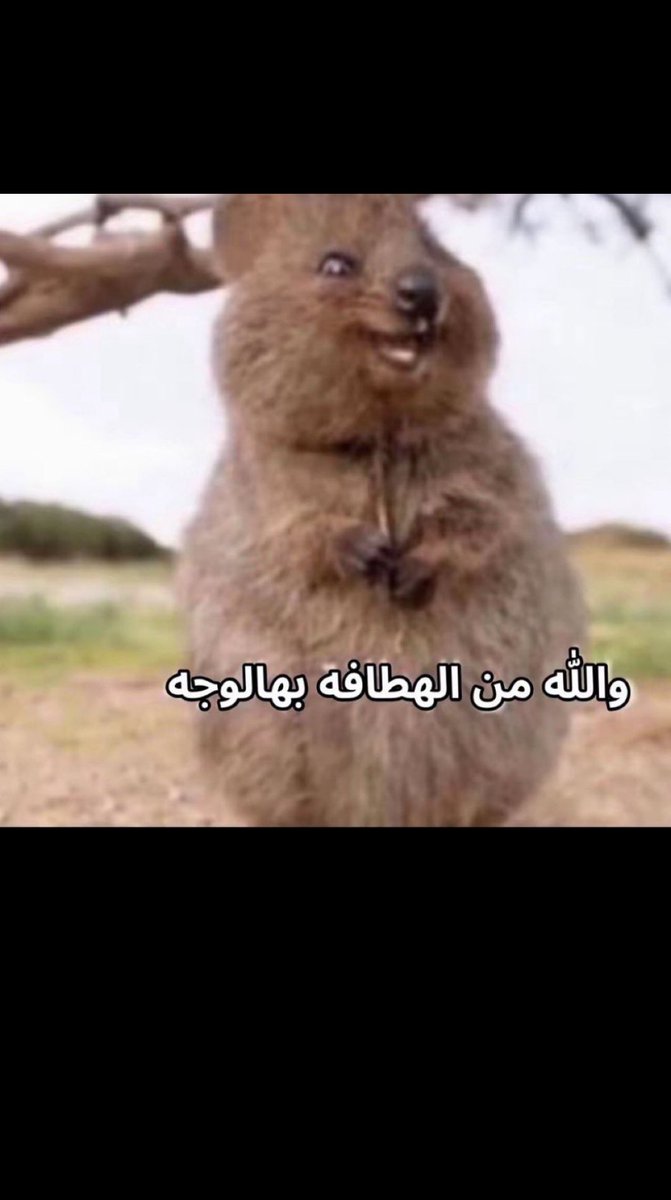 doom Slayer tweet media