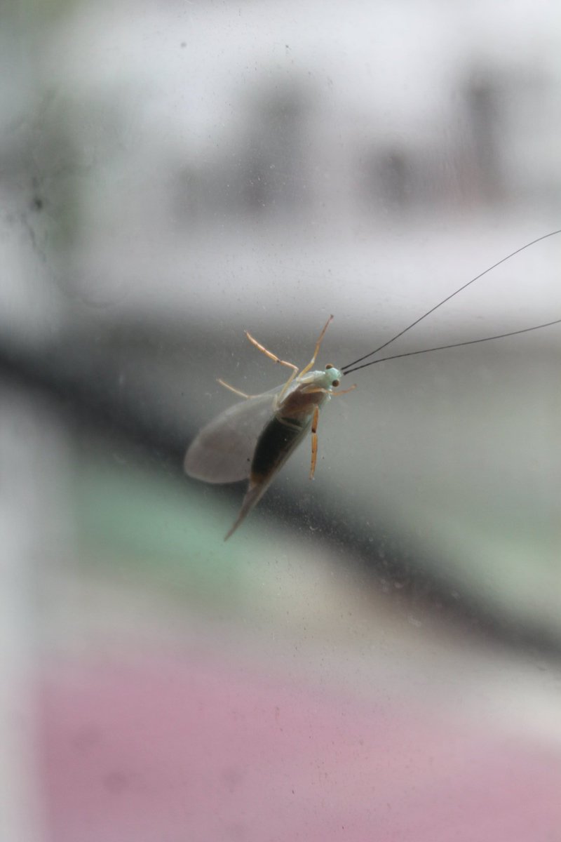 Oh hello little friend 👋🏻