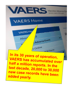 Mary S. Holland, Esq. tweet media