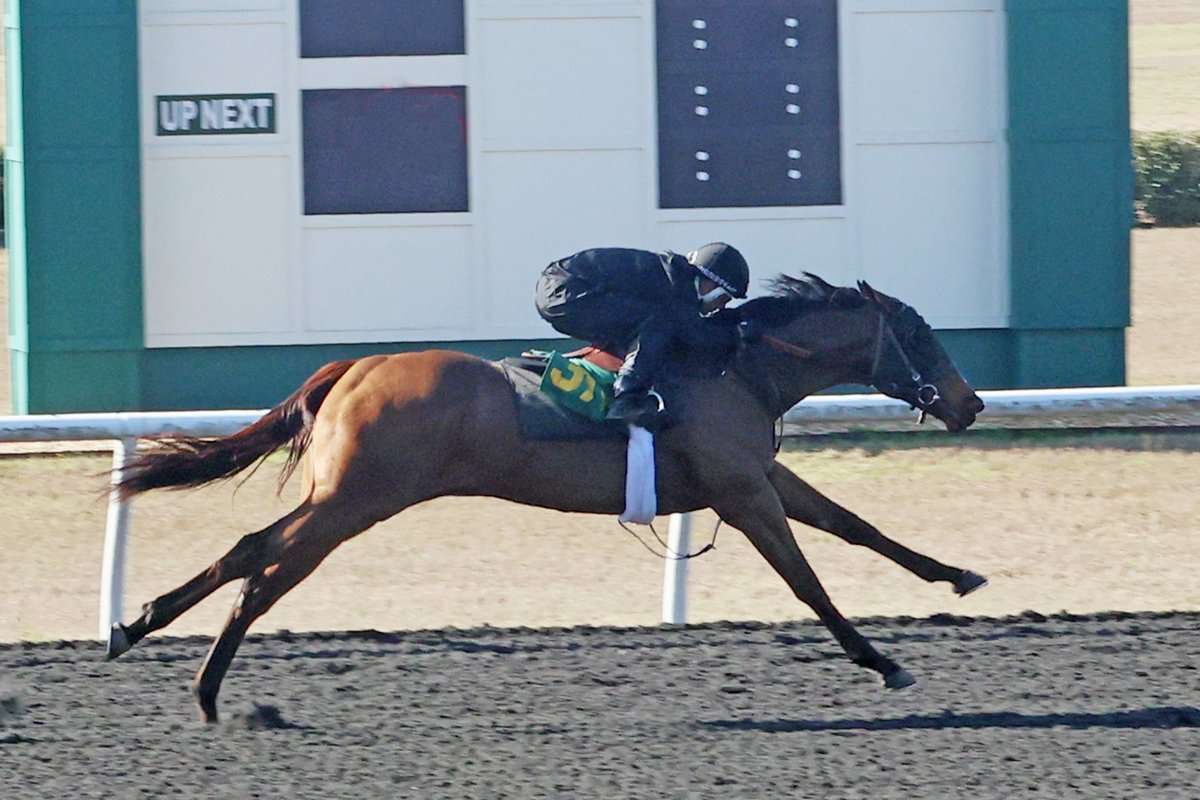 Darley in America tweet media