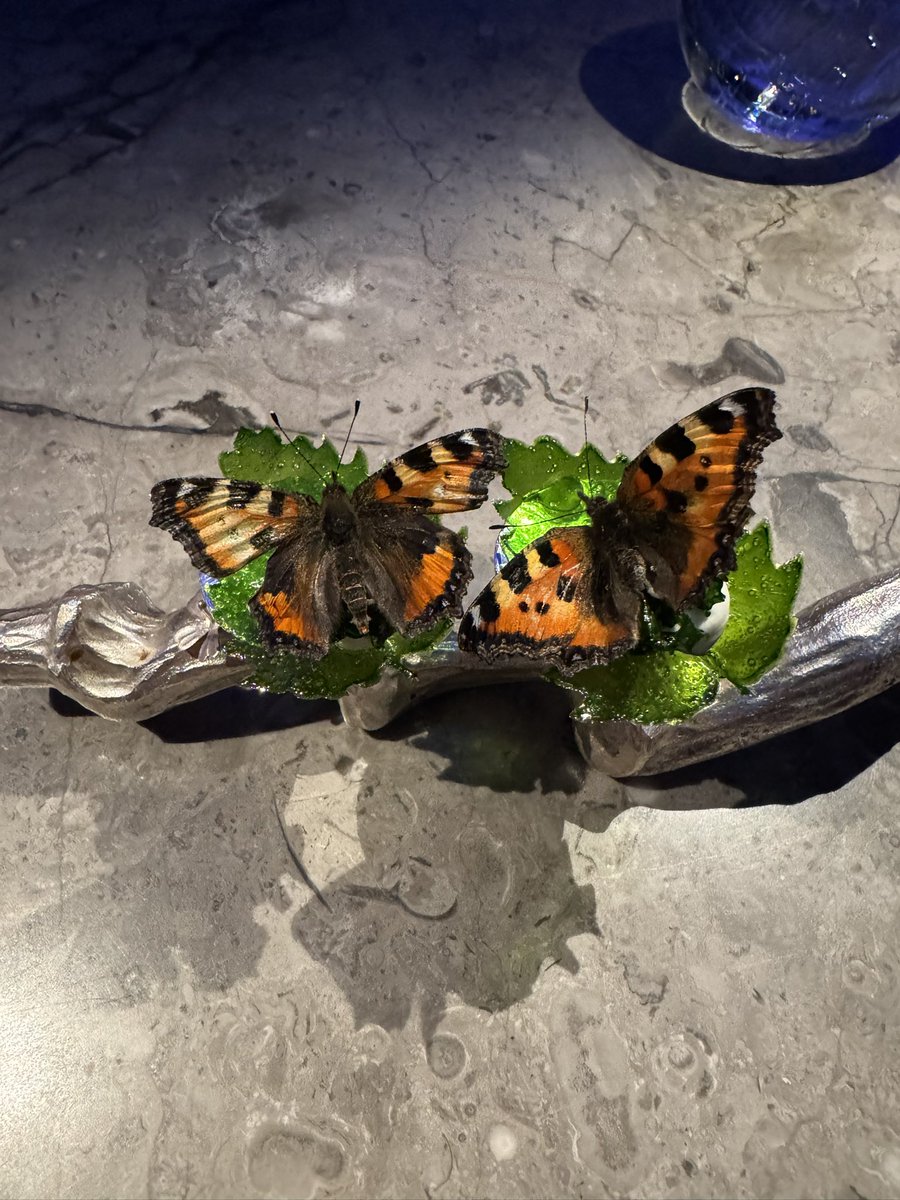 Sky G.cph tweet media