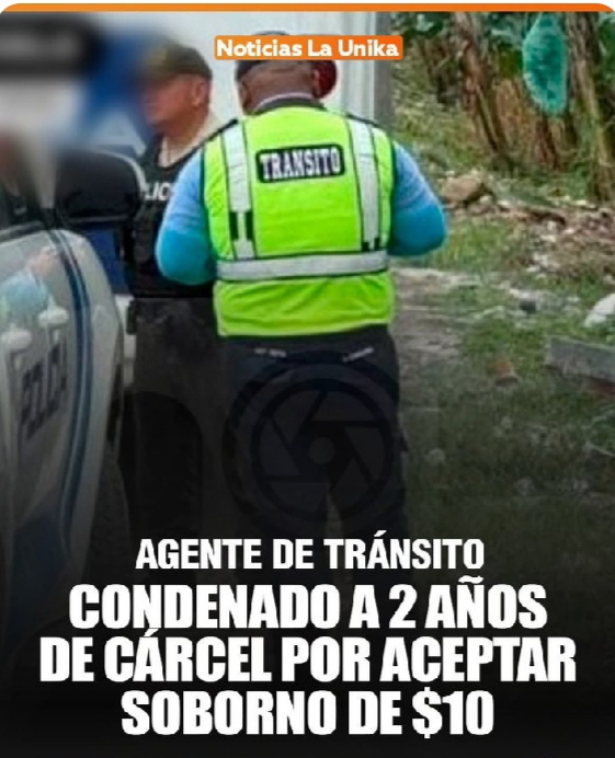 Mónica Arosemena tweet media