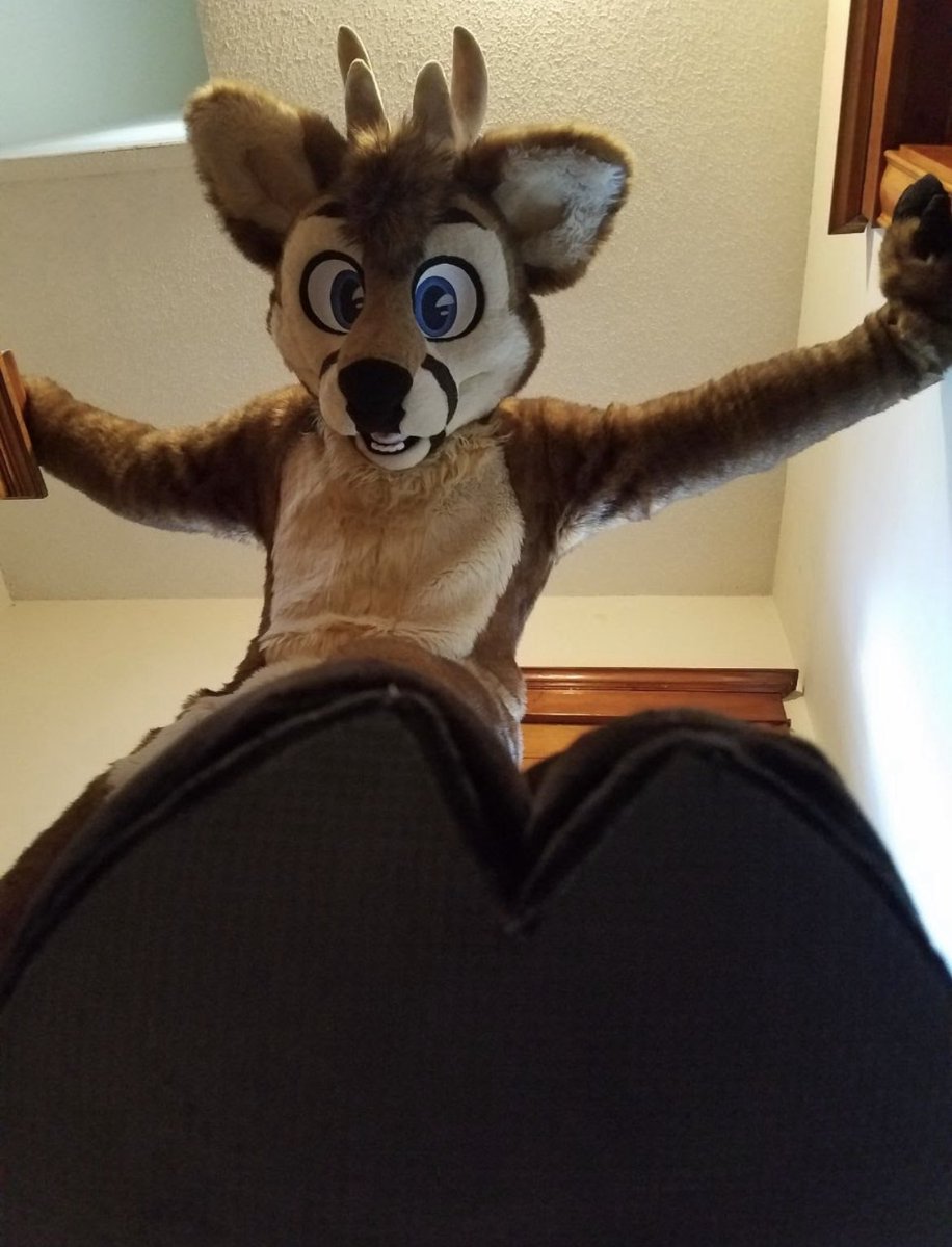 Gamble Weh Deer tweet media